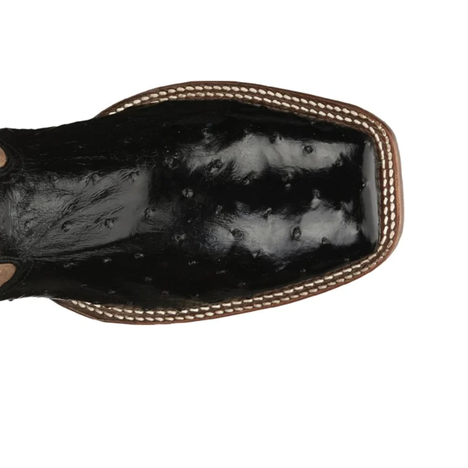 TONY LAMA MEN'S CASTILLO FULL QUILL OSTRICH WESTERN BOOTS - EP6094 - Image 4