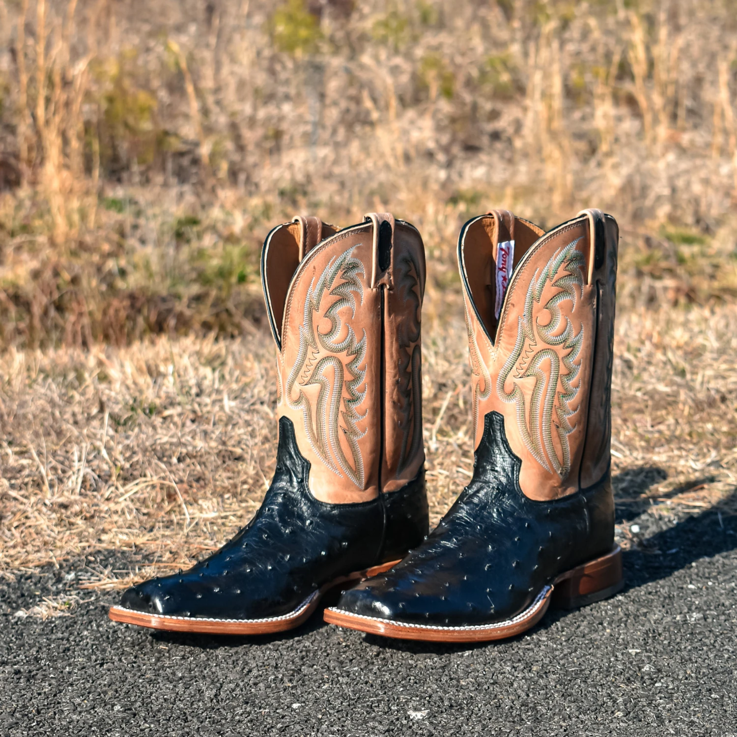 TONY LAMA MEN'S CASTILLO FULL QUILL OSTRICH WESTERN BOOTS - EP6094 - Image 7
